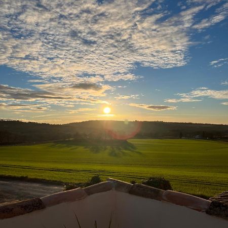 Вілла Mas Des Magnarelles / Uzes / Cevennes Mejannes-les-Ales Екстер'єр фото